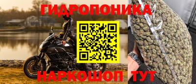 гидра Кулебаки