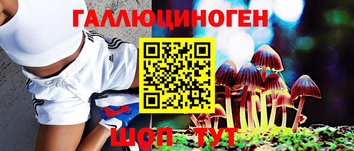 Альметьевск  Псилоцибиновые грибы Psilocybine cubensis  Вход с VPN 