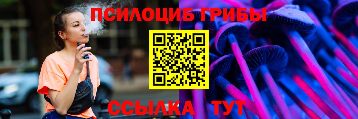 Псилоцибиновые грибы мицелий Альметьевск